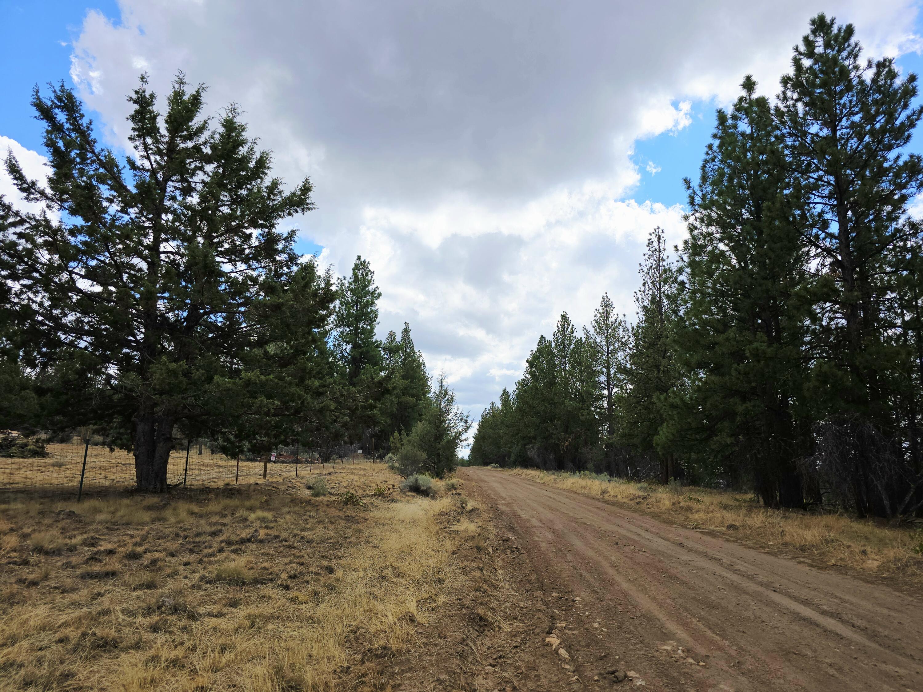 Ferguson Mountain Pines - Residential