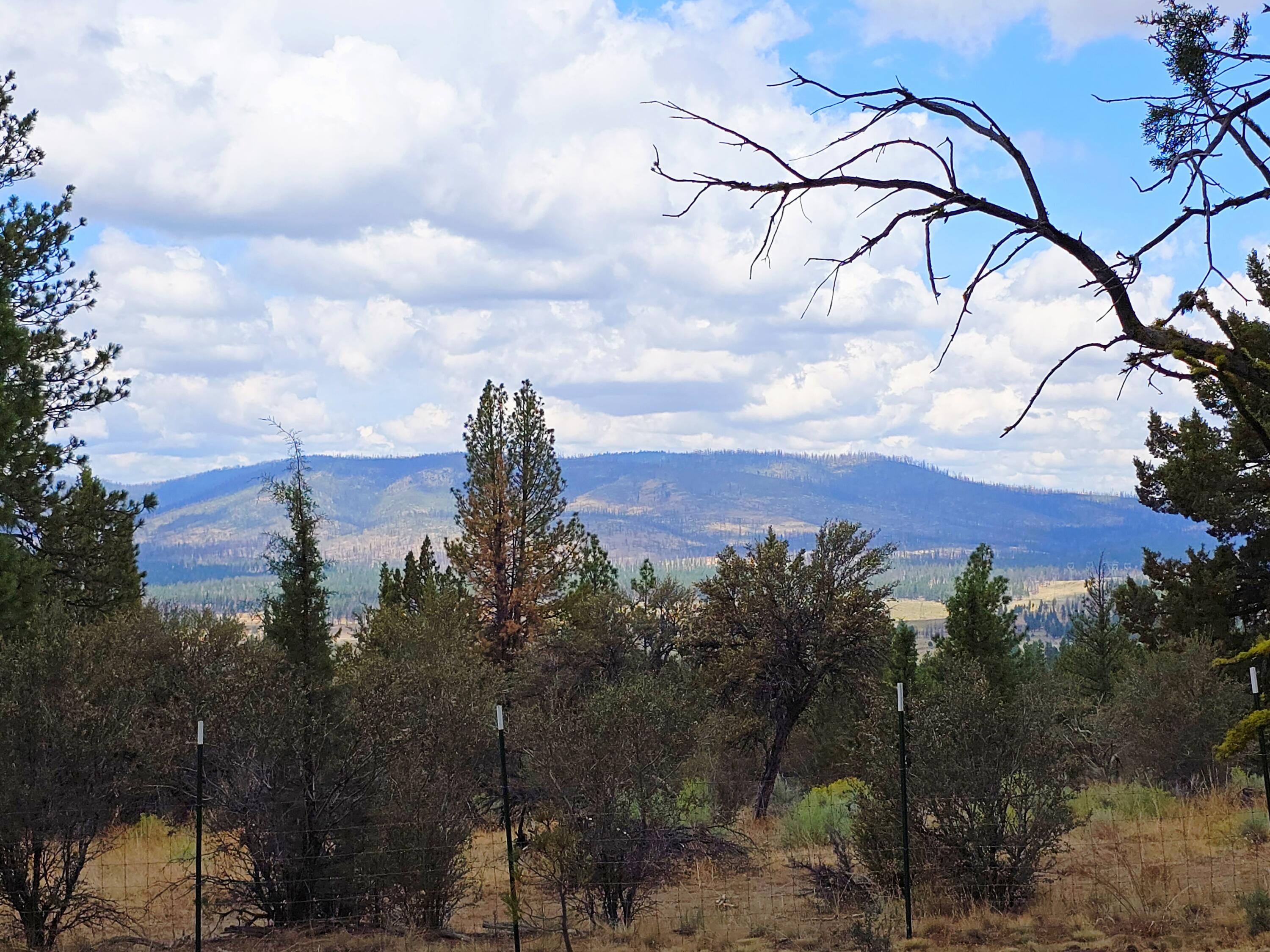 Ferguson Mountain Pines - Residential
