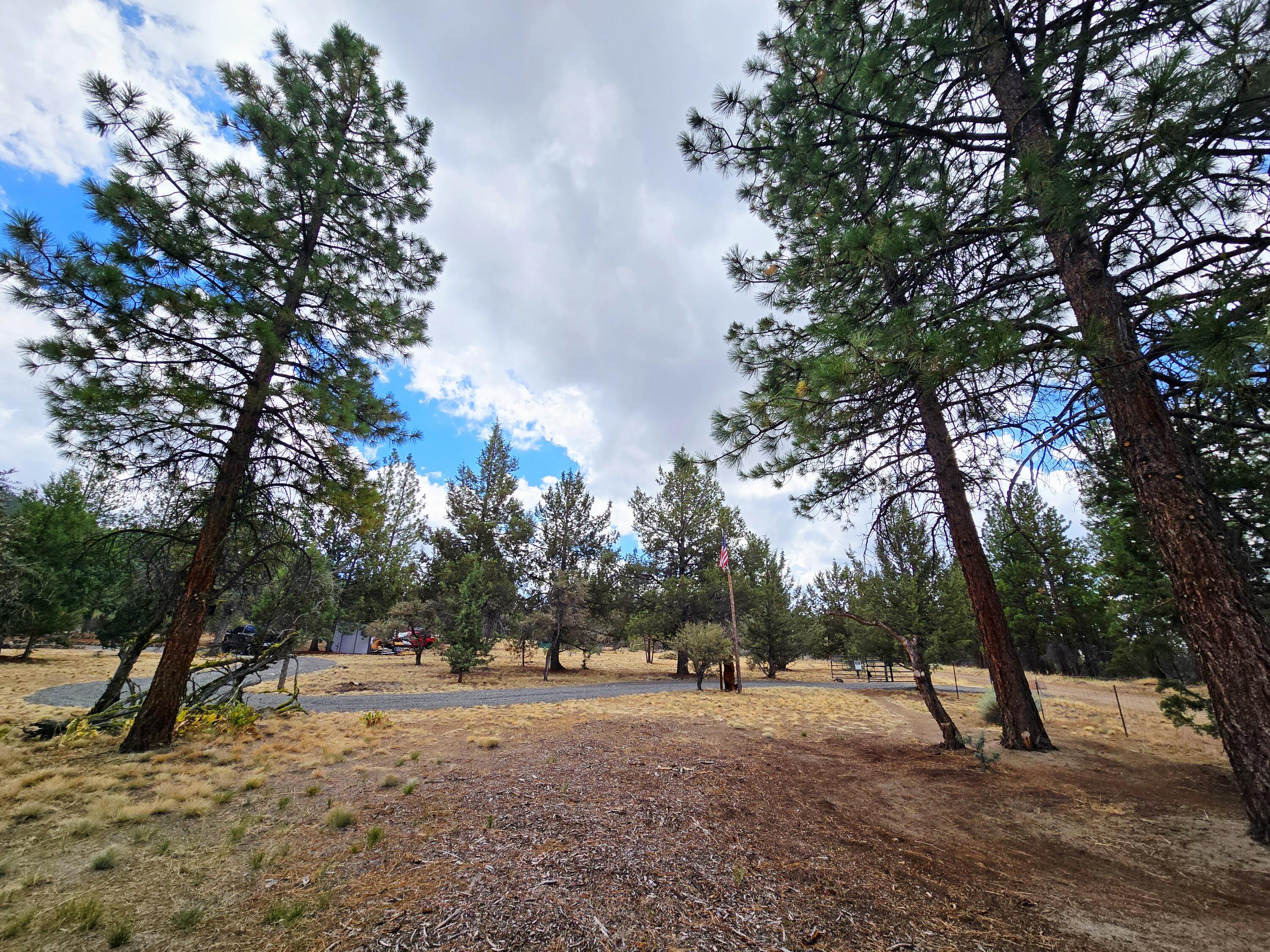 Ferguson Mountain Pines - Residential