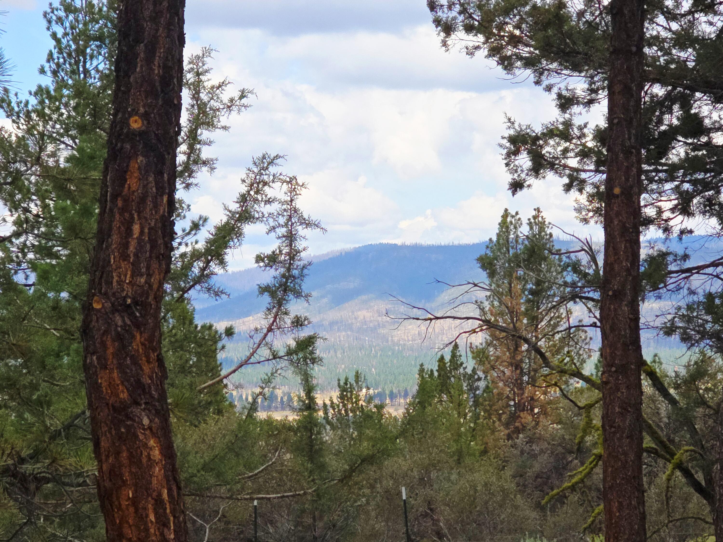 Ferguson Mountain Pines - Residential