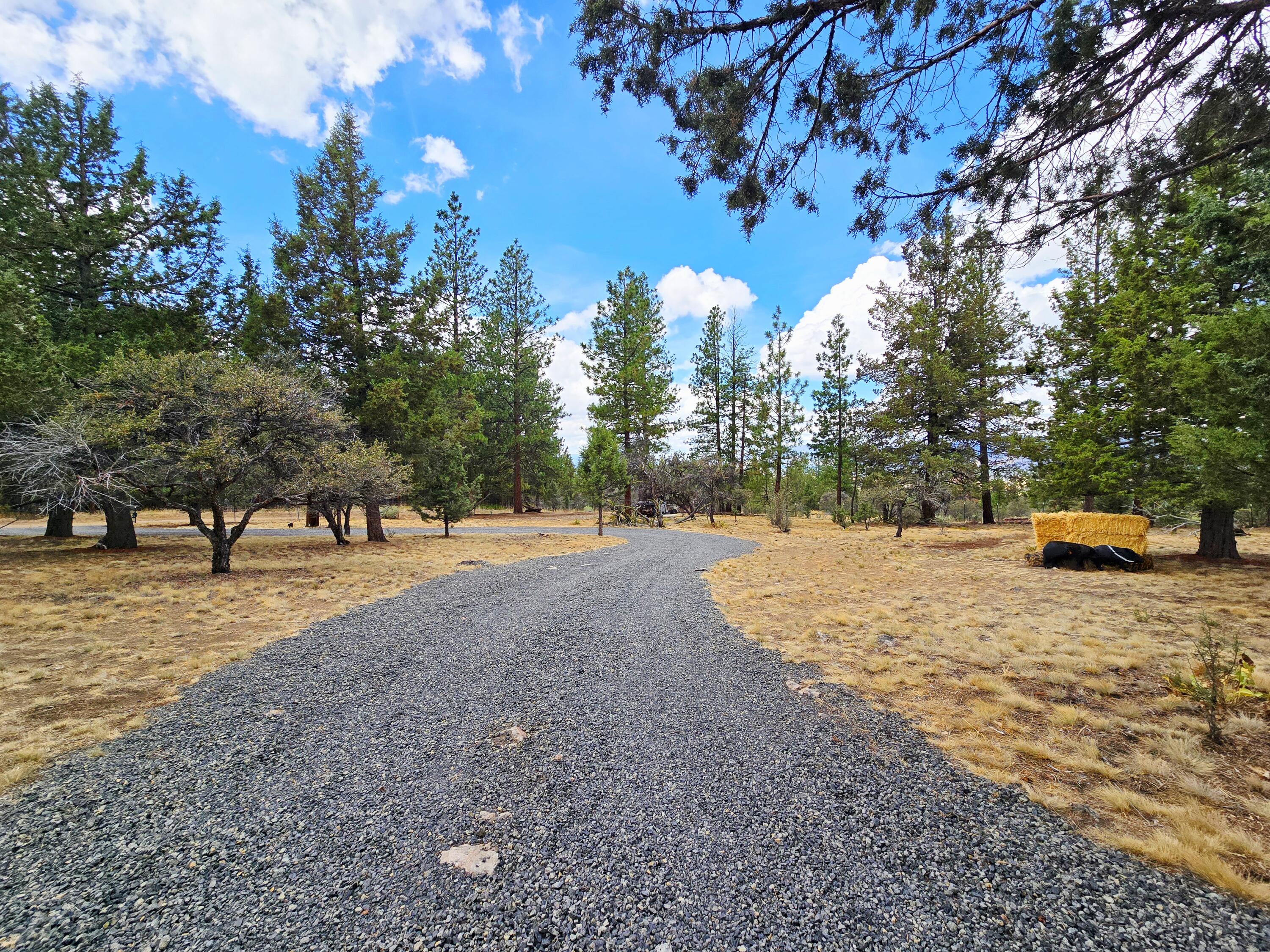 Ferguson Mountain Pines - Residential