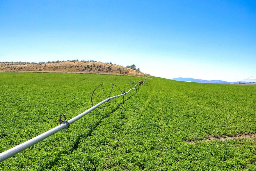 The Rossetto Ranch is on the market! Scenic beauty meets income-producing potential. This one-of-a-kind 187Â± acre farm/ranch property captures breathtaking views of Mt. Shasta and the surrounding countryside. In the heart of Klamath farmland, this true agricultural property offers multiple income streams including a charming home, off-grid glamping site with potential short-term rental income, seasonal hunting lease, alfalfa crop lease, annual grain production and premium irrigation rights with an abundance of water. The upgraded irrigation systems, rich soils, and laser-leveled fields make this a farmer's dream. The landscape blends rolling hills, open pasture, and a small wetland flourishing with wildlife. 56x80 steel pole barn, newer 75 & 100 HP VFD pumps, updated main lines, fencing, and ranch roads. The updated-modern country farmhouse shines throughout with potential for an additional dwelling and possible partition into three parcels (per County Planning).