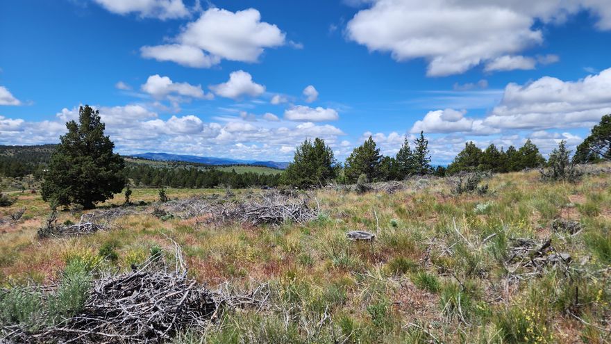 This sloped lot offers views of the valley and surrounding terrain. Lots of wildlife!   Additional parcels for sale. MLS#  220157000, 220157560