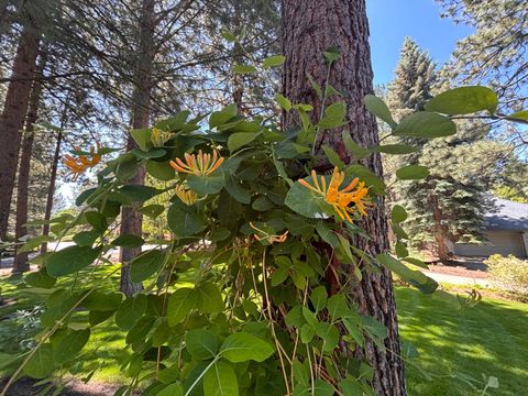 Tiny photo for 60730 Breckenridge Street, Bend, OR 97702 (MLS # 220219674)