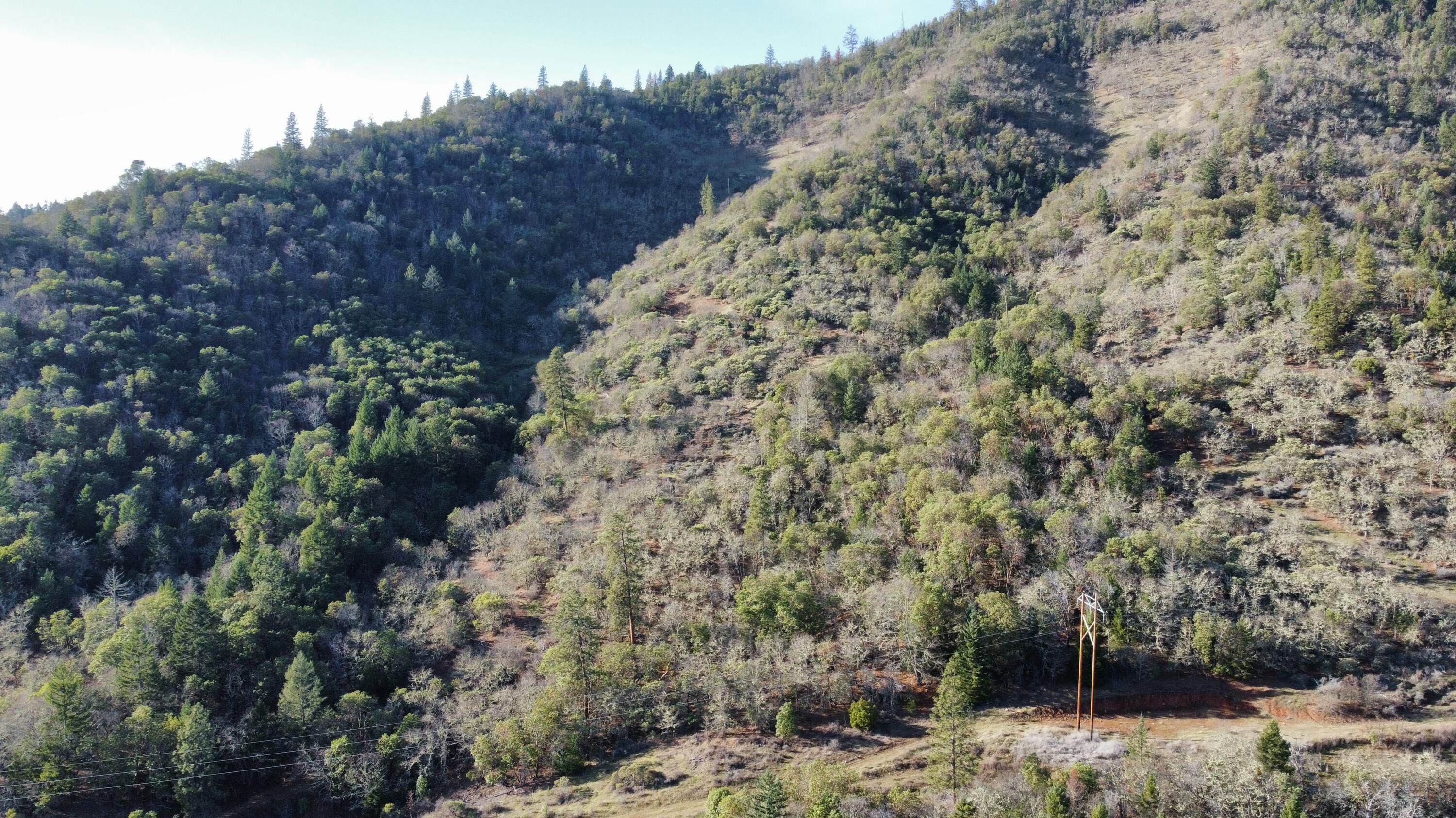 Jesinghaus Estates - Residential