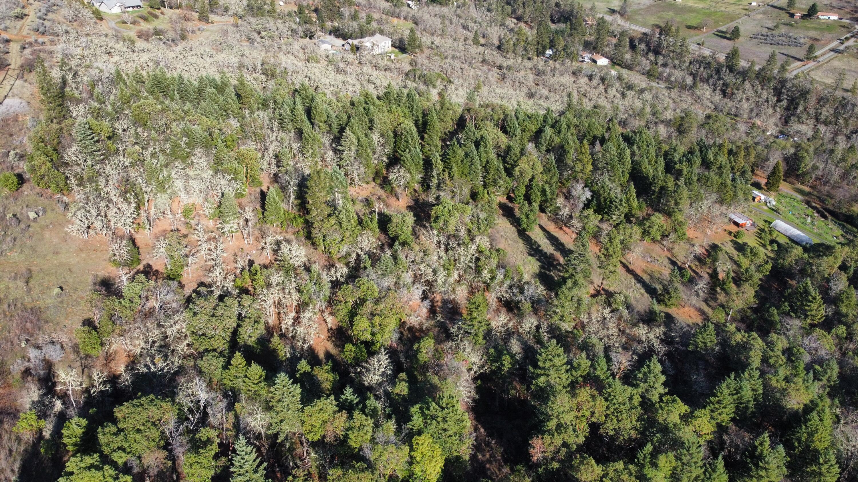 Jesinghaus Estates - Residential