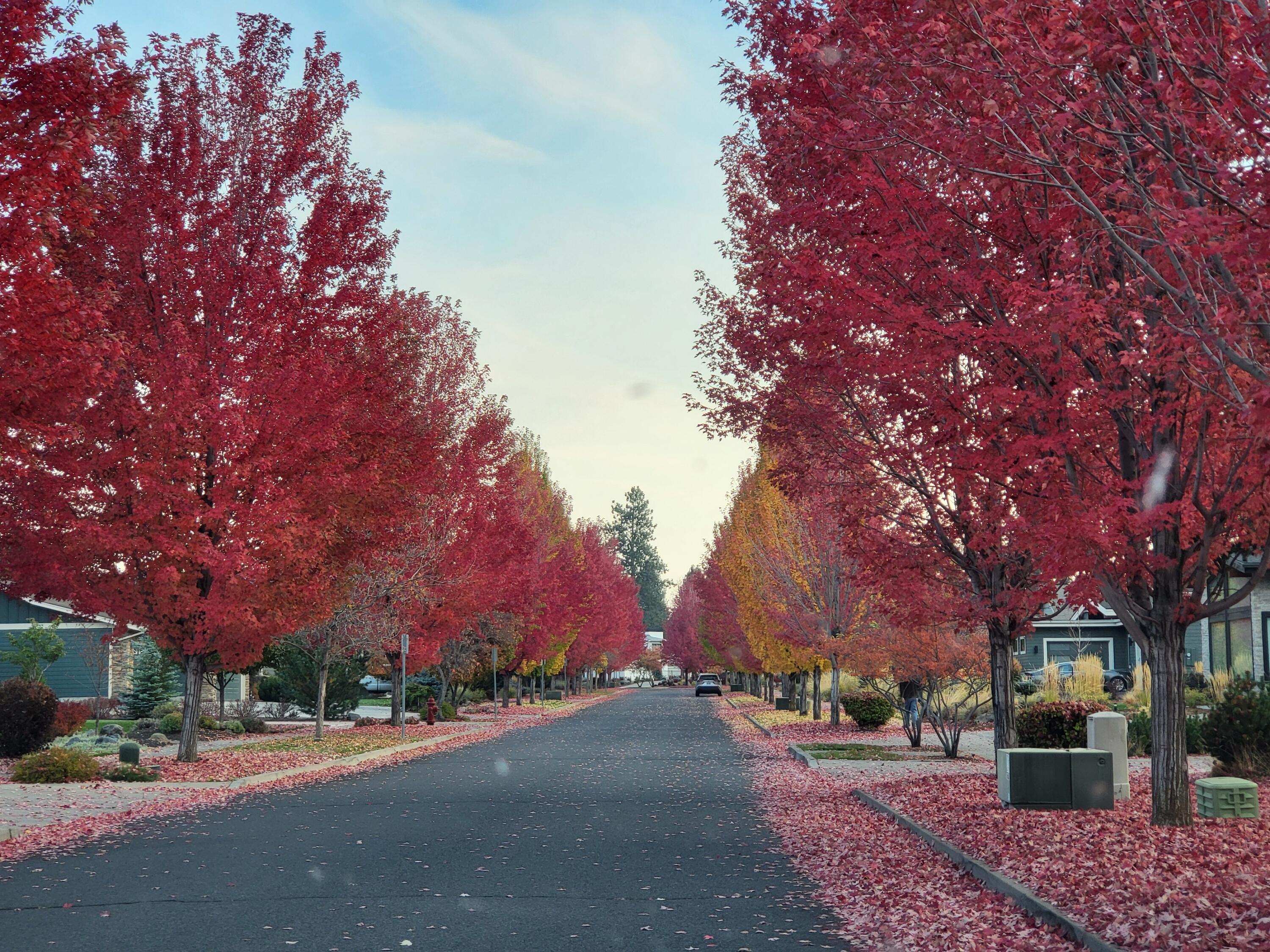 Orion Greens - Residential