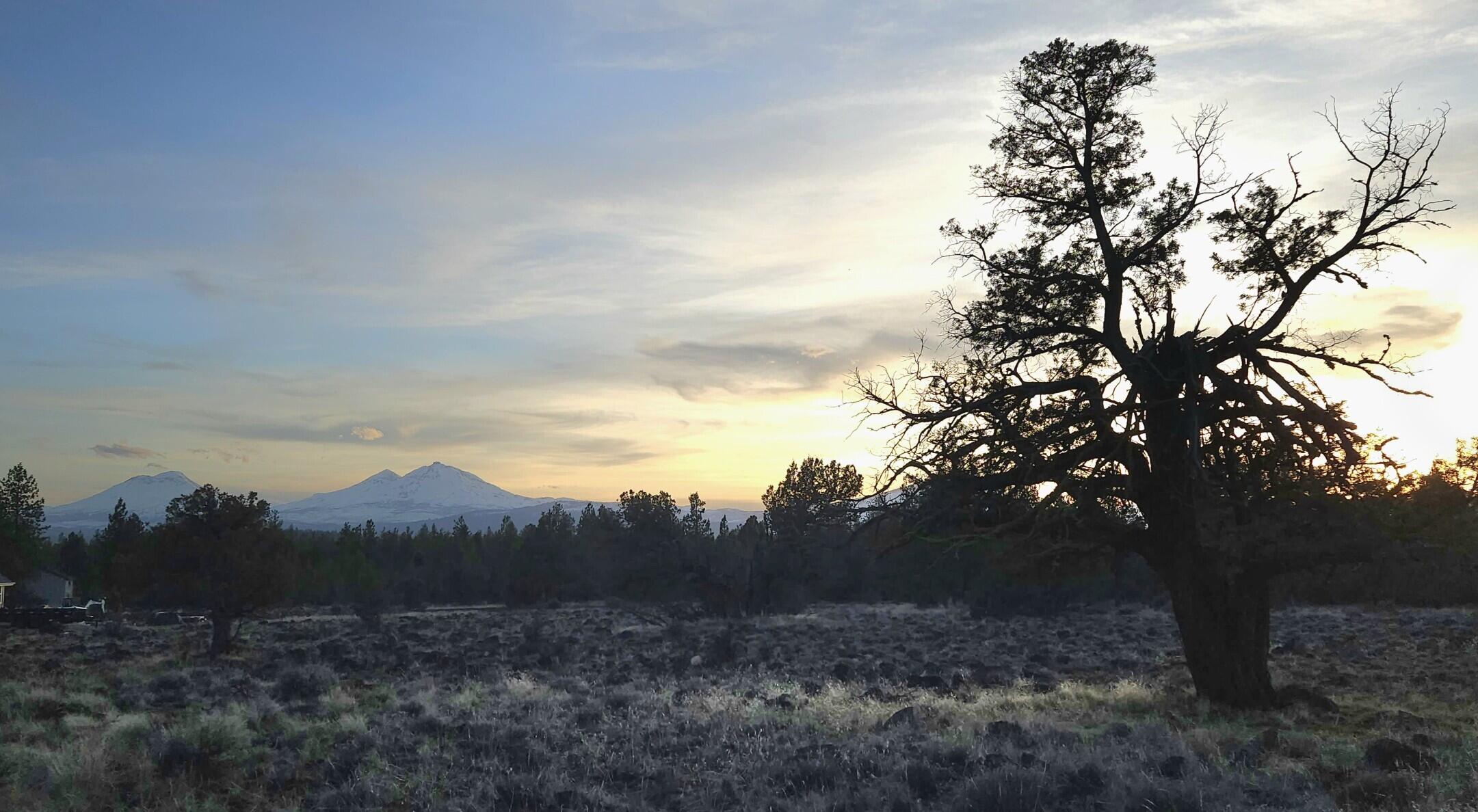 Panoramic View Est - Residential