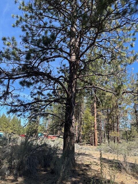 Klamath Falls Forest Estates -Hwy 66 Unit -Plat No. 2 - Land