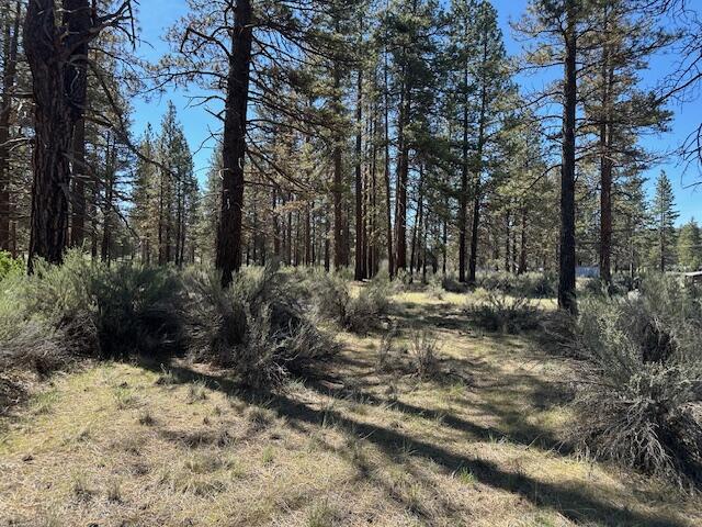 Klamath Falls Forest Estates -Hwy 66 Unit -Plat No. 2 - Land