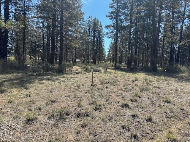 Klamath Falls Forest Estates -Hwy 66 Unit -Plat No. 2 - Land