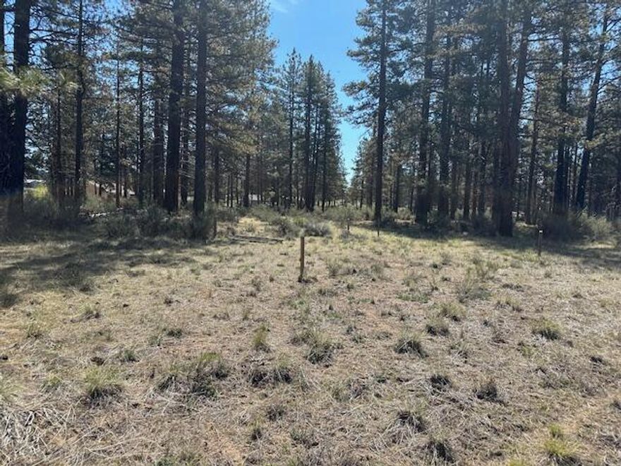 Don't miss this exceptional 2.52 acre parcel located just off Bly Mountain Cutoff. This beautiful property is nicely wooded with mature Ponderosa pines. Partially fenced between neighbors. Power is right at the road and is in an area of excellent wells. Whether you are looking to establish a hobby farm or the serenity of living in the country this is a great opportunity to build your dream home. Priced right with motivated sellers. Don't let this one pass you by.