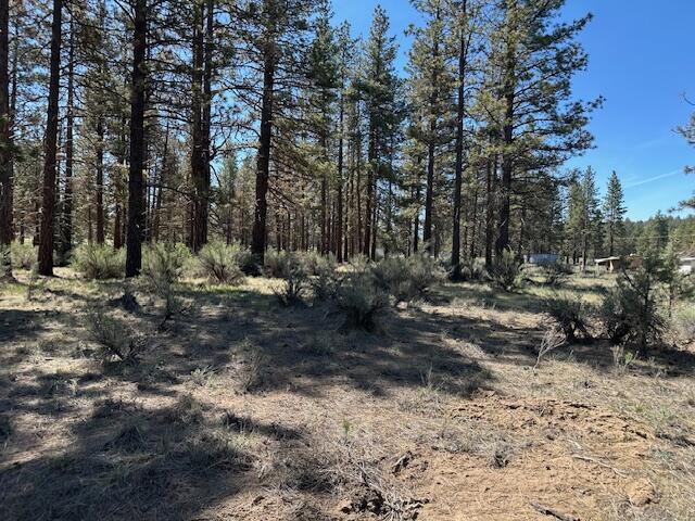 Klamath Falls Forest Estates -Hwy 66 Unit -Plat No. 2 - Land
