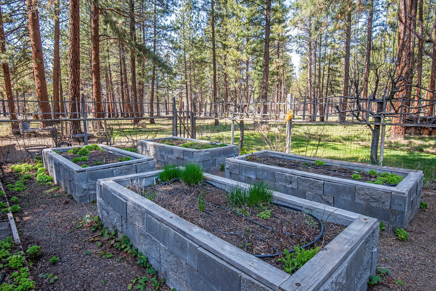 Sage Meadow - Residential