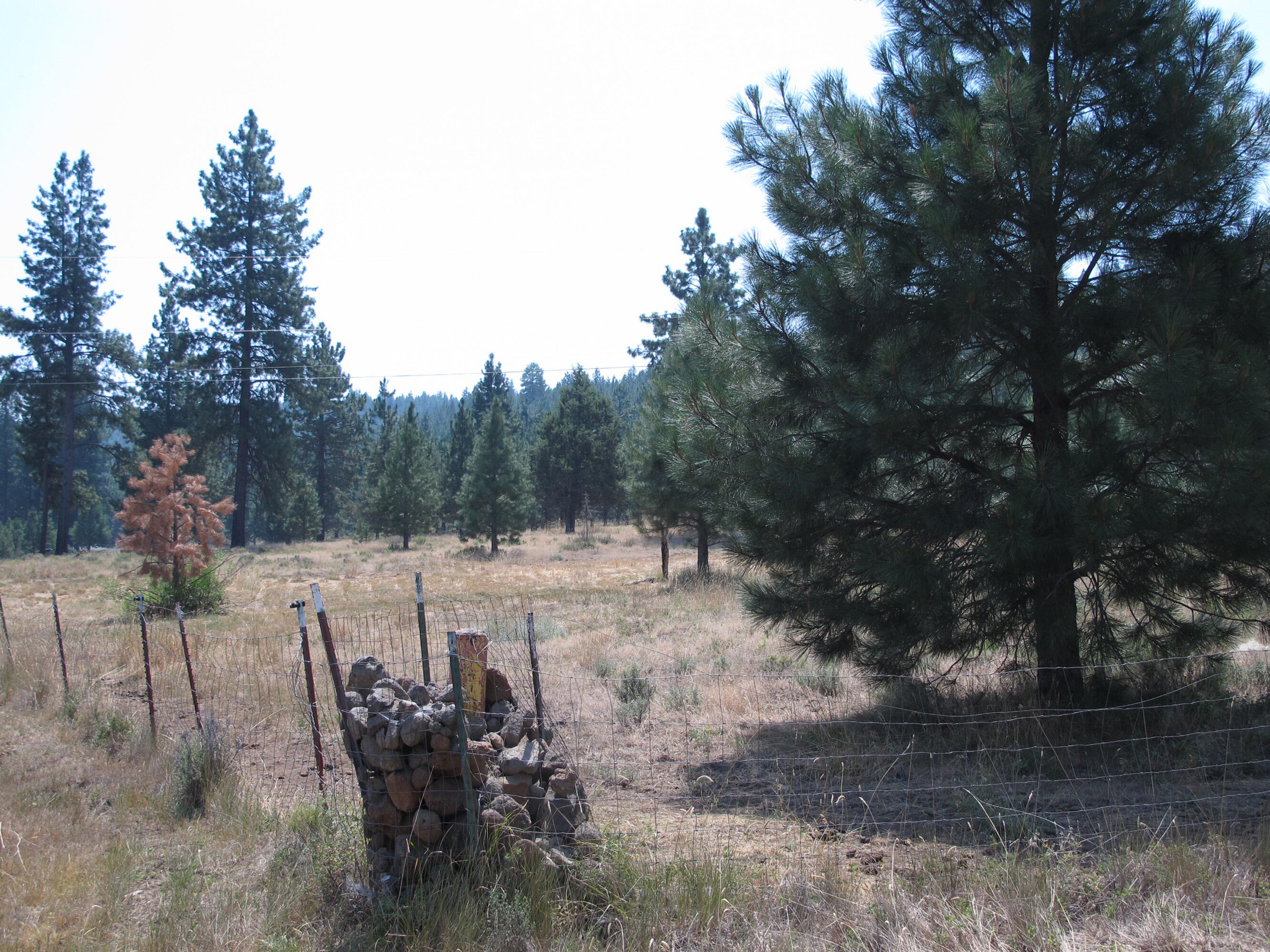 Round Lake Estates - Residential