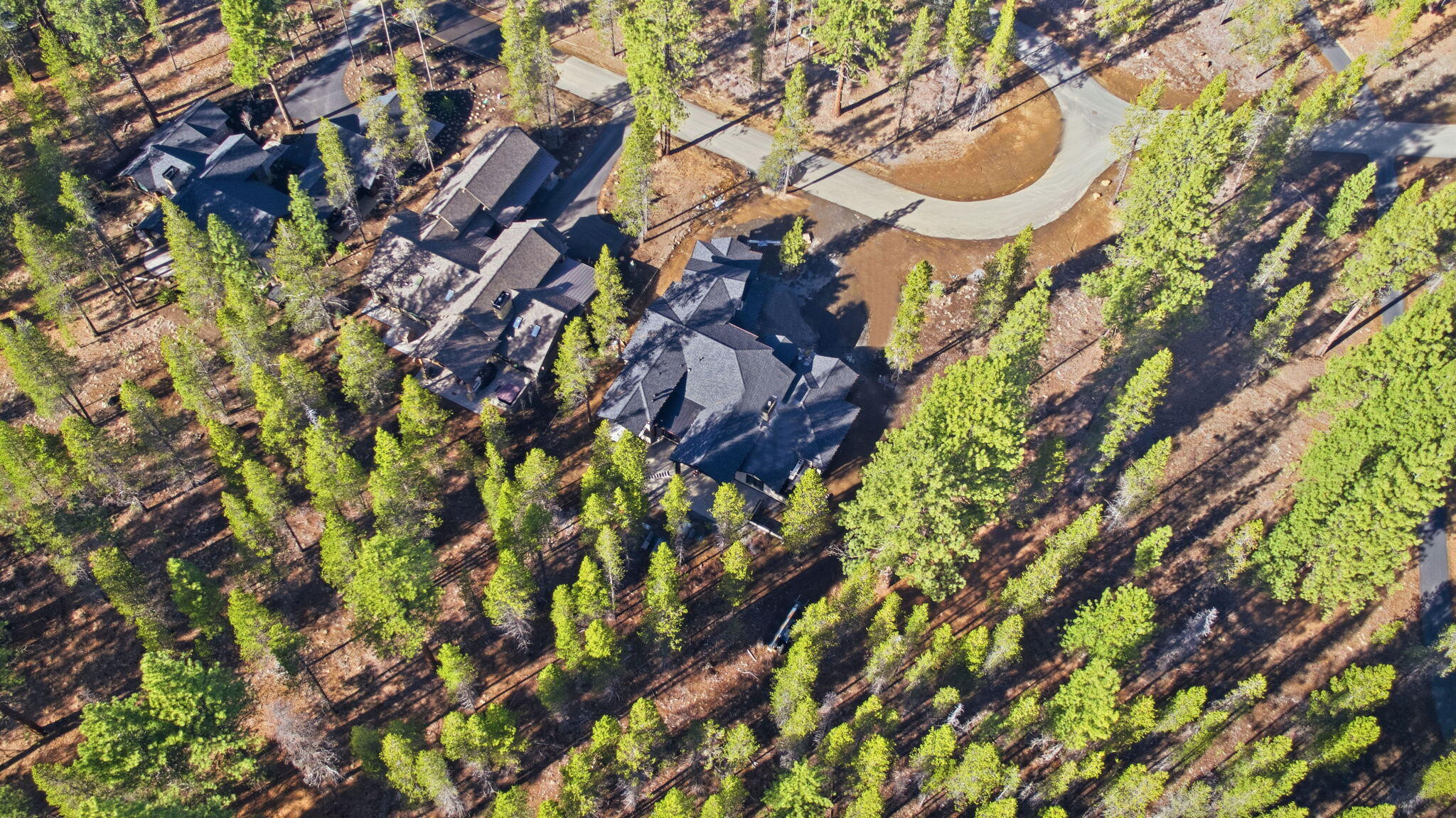 17785 Everwild Circle 447