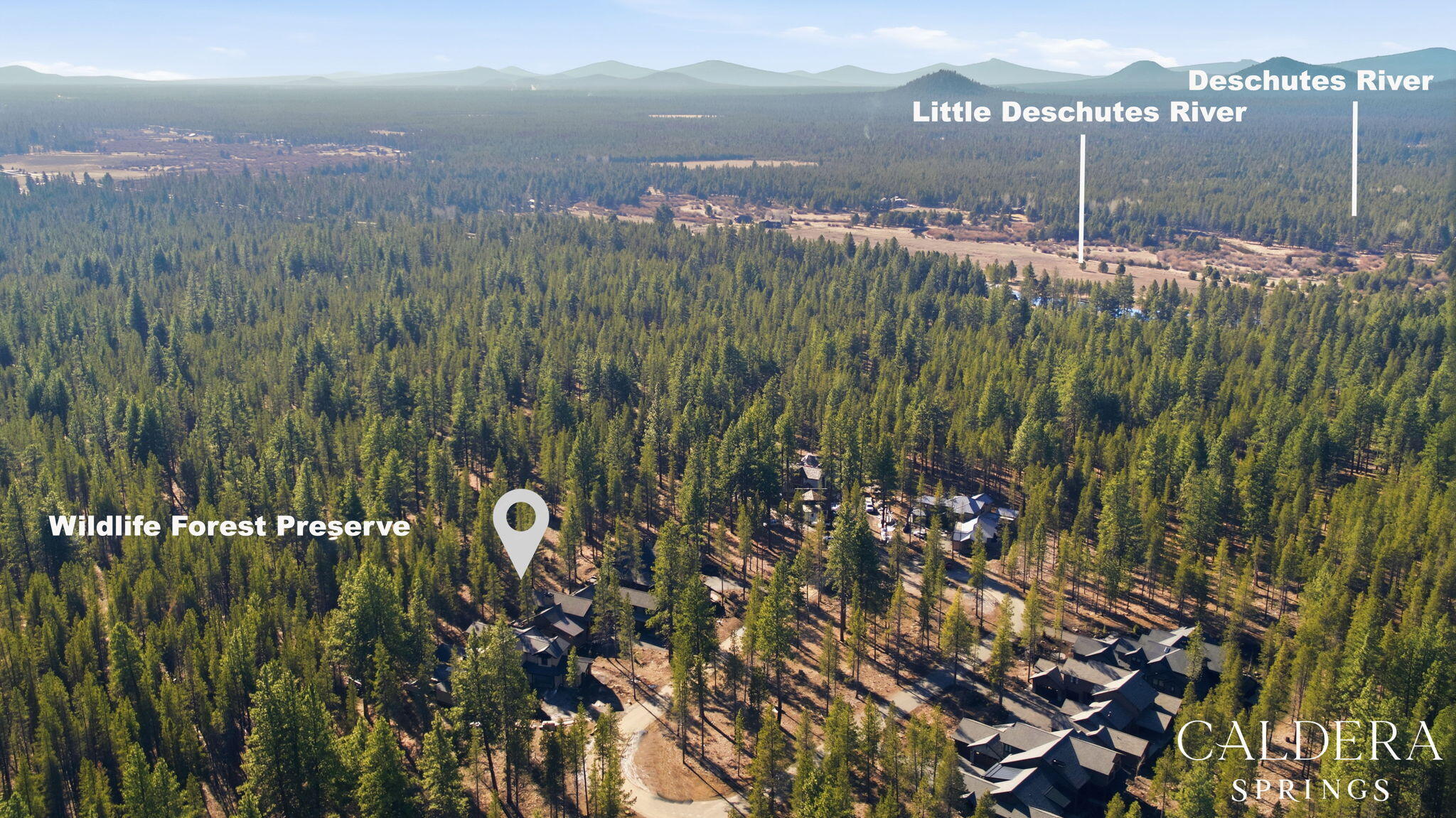 17785 Everwild Circle 447