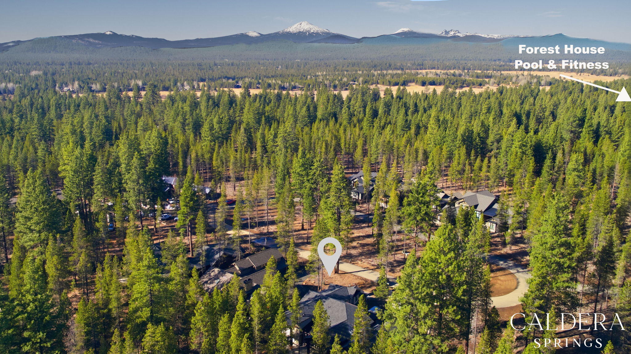 17785 Everwild Circle 447