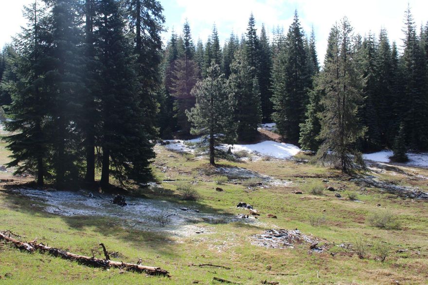 In the mountains west of Klamath Falls is a great place for your pravite vacation property. Just a little west of Keno Access Raod in Klamath County. Hunting is outstanding for Big Mule Deer, Blacktail, Rocky Mtn. Elk, Pronghorn, bear, predators and turkeys. Land could qualify for LOP Tags (Land Owner Preference Tags) 2 bucks, 2 bulls. Buyer to contact ODFW for particulars. Great location for your family home, cabin or RVing. Property elevation form 5500' to 5950' and completely surrounded by BLM and State Land. Please call your favorite REALTOR for a viewing appointment.<br><br>We have several of these timbered parcels some of them have not been cut. Others have been selectively logged, which has beautifully opened up these parcels for hunting and recreation. These properties in the Fremeont - Winema Forest are very beautiful.