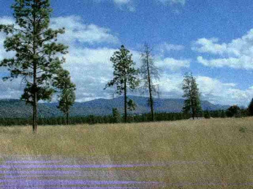 Scenic View, Mountains, Trees, Level Ground. Oregon Shores Ii Coultier Off So. Chiloquin Hwy. Both Lot 2 And 3 Must Be Sold Together. L-498 And L-499, 11,000.00 Each. Mls 56800 And 56878