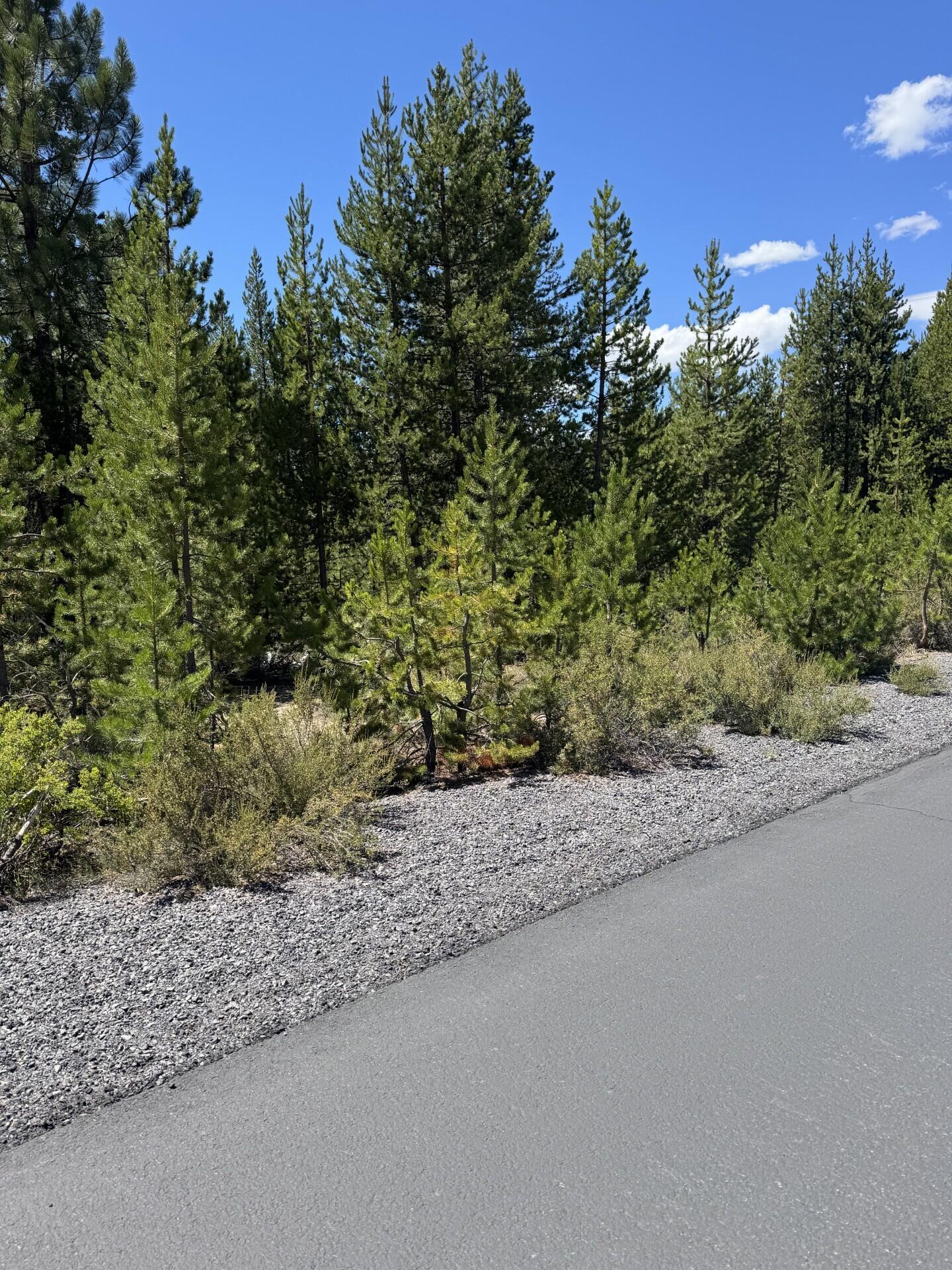 Diamond Peaks - Land