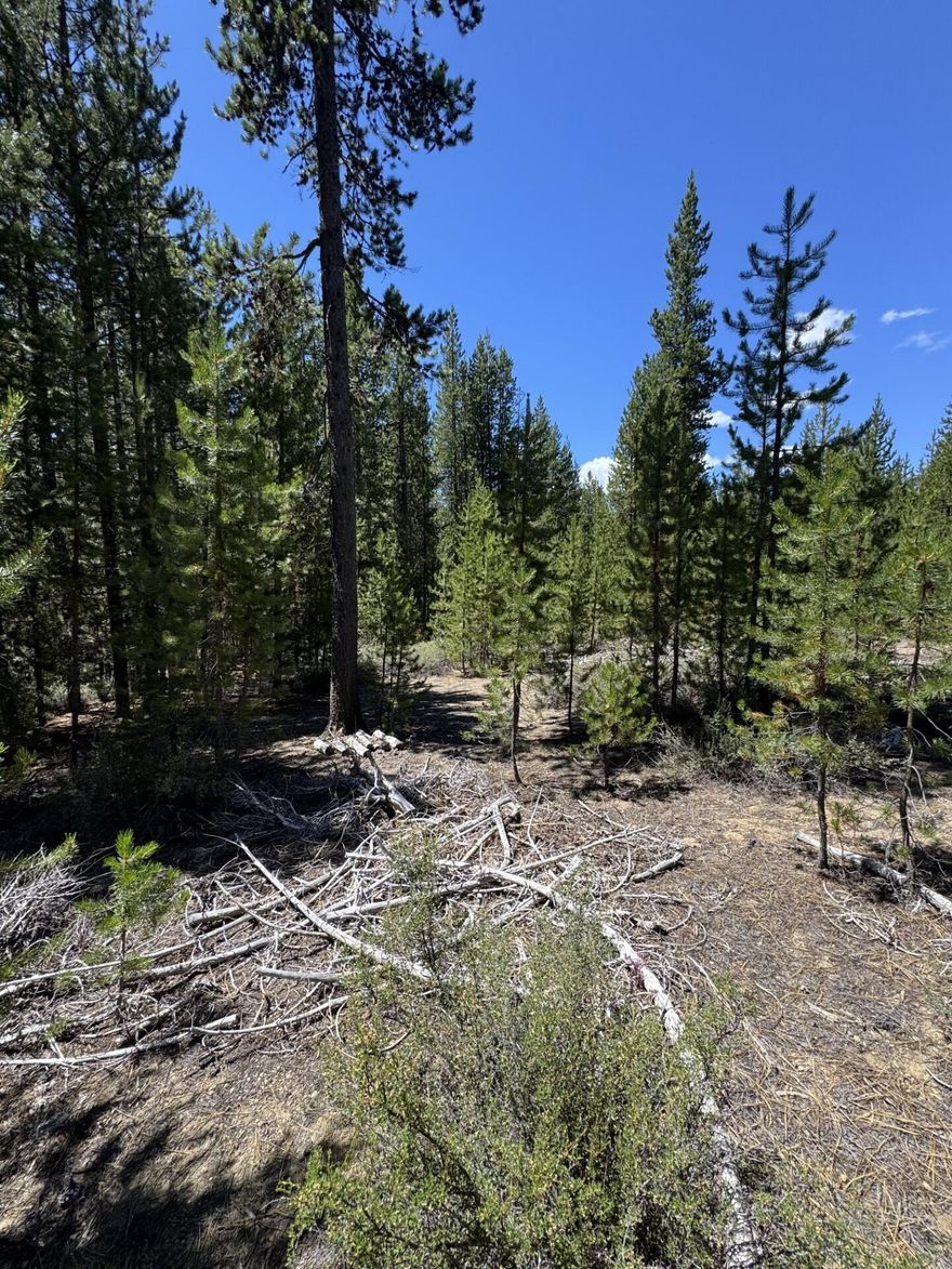 Here is your chance to own Nice building lot in Diamond Peaks Subdivision. Water and Electric at the street and ready to build.  Diamond Peaks is located only a few short minutes to Odell, Crescent And numerous other high lakes and Willamette Pass Ski Resort..