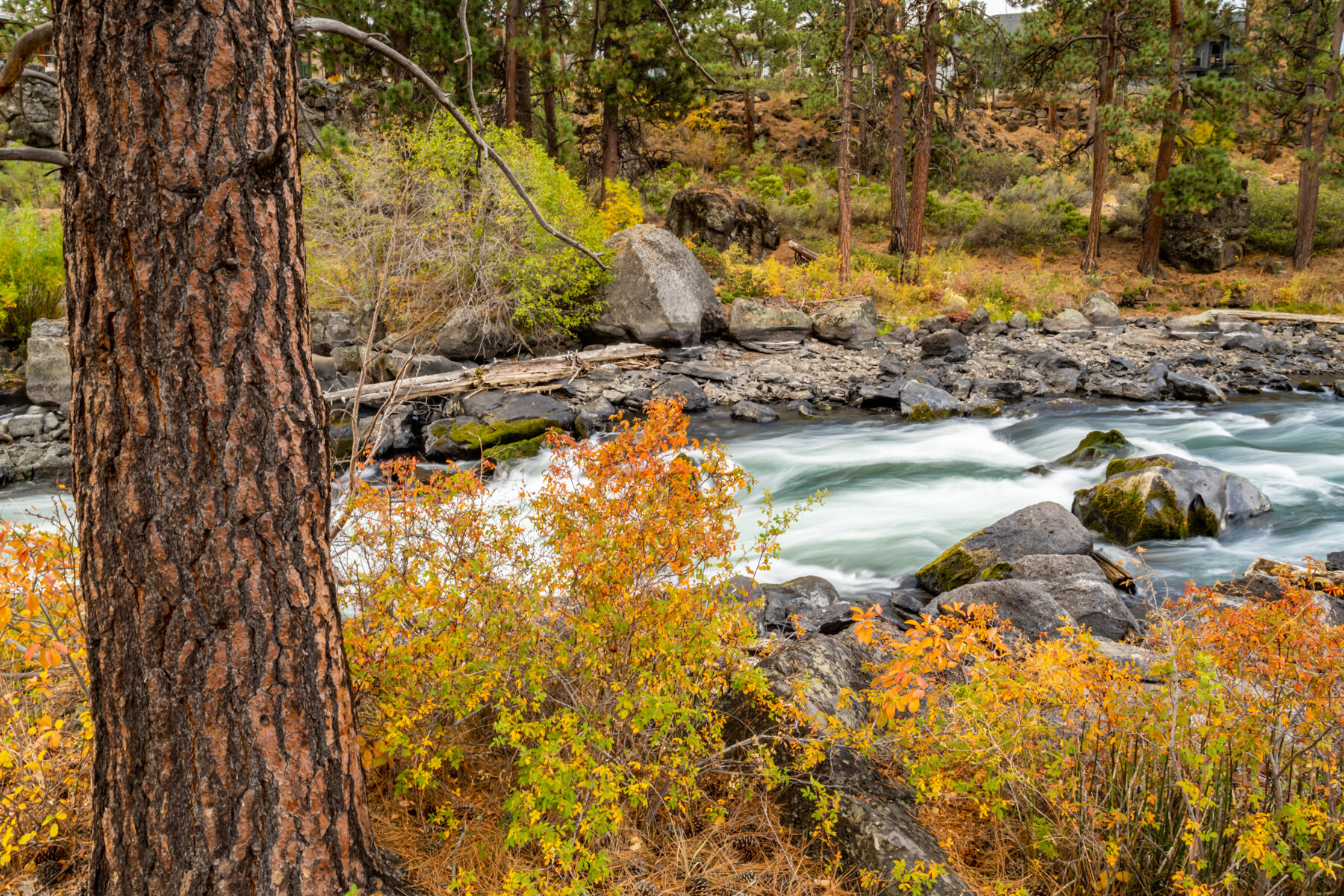 Sunrise Village - Residential