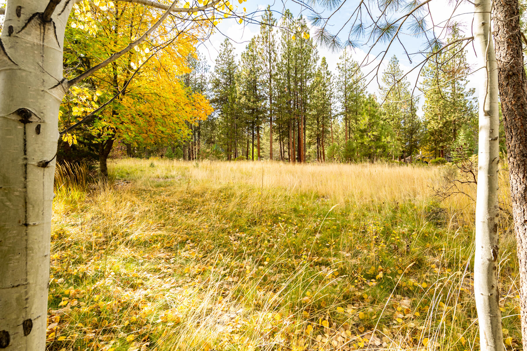 Sunrise Village - Residential