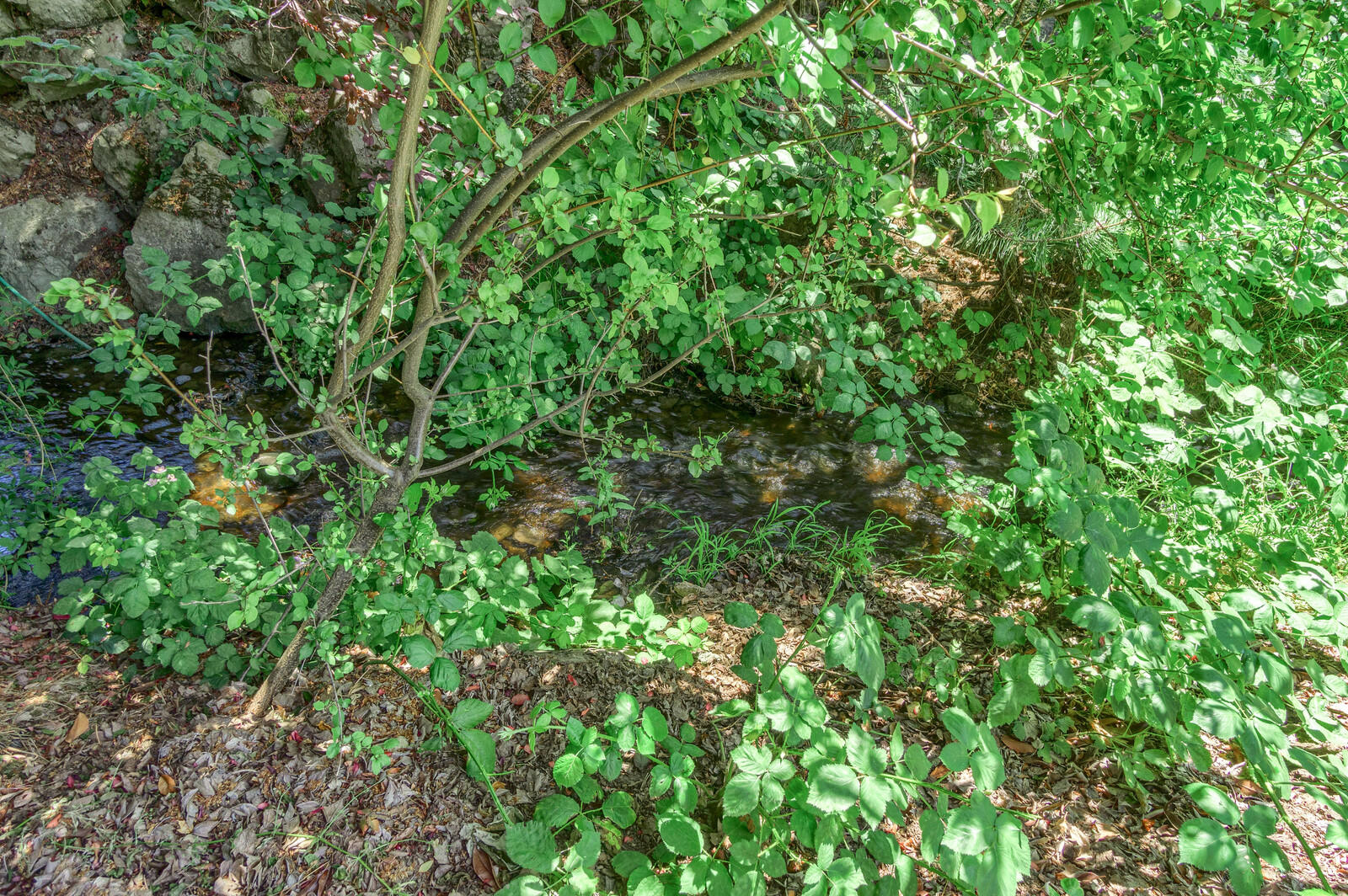 Fairway Ridge Subdivision - Residential