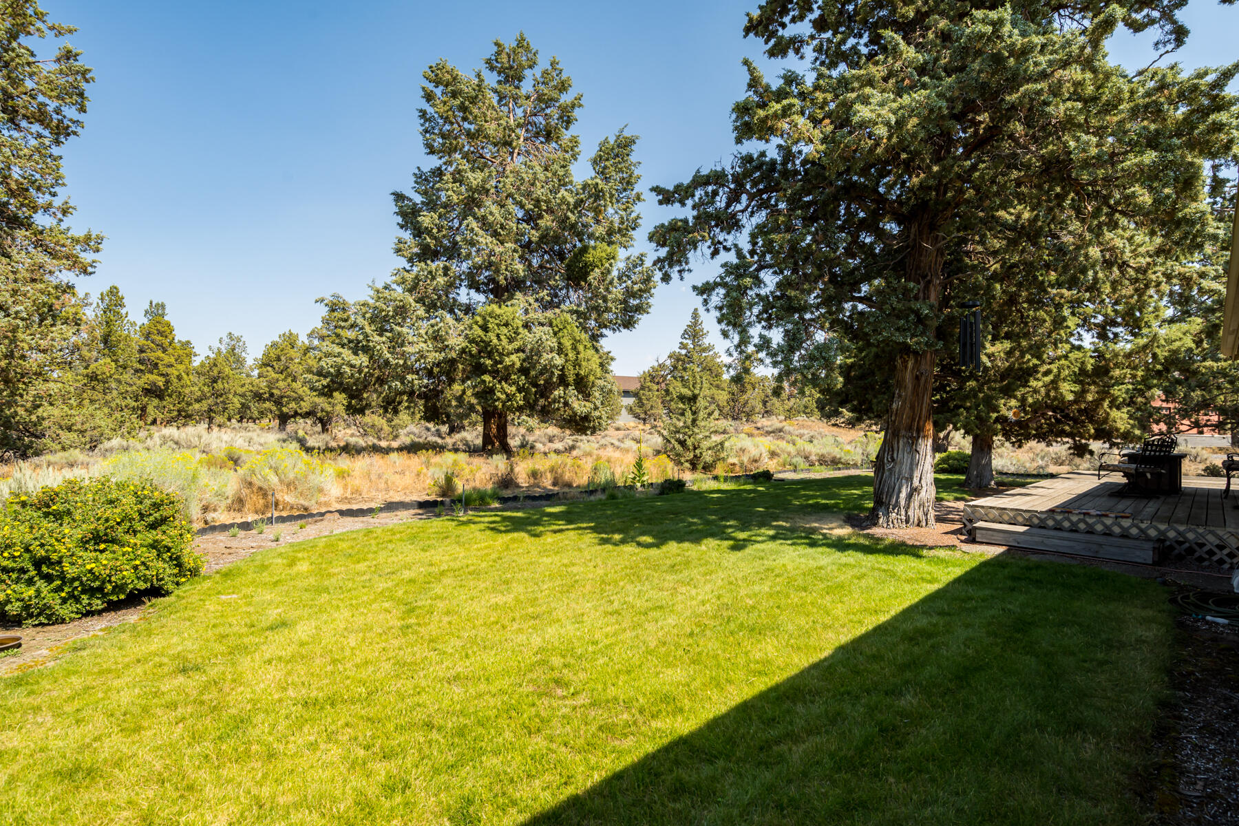 Boonesborough - Residential