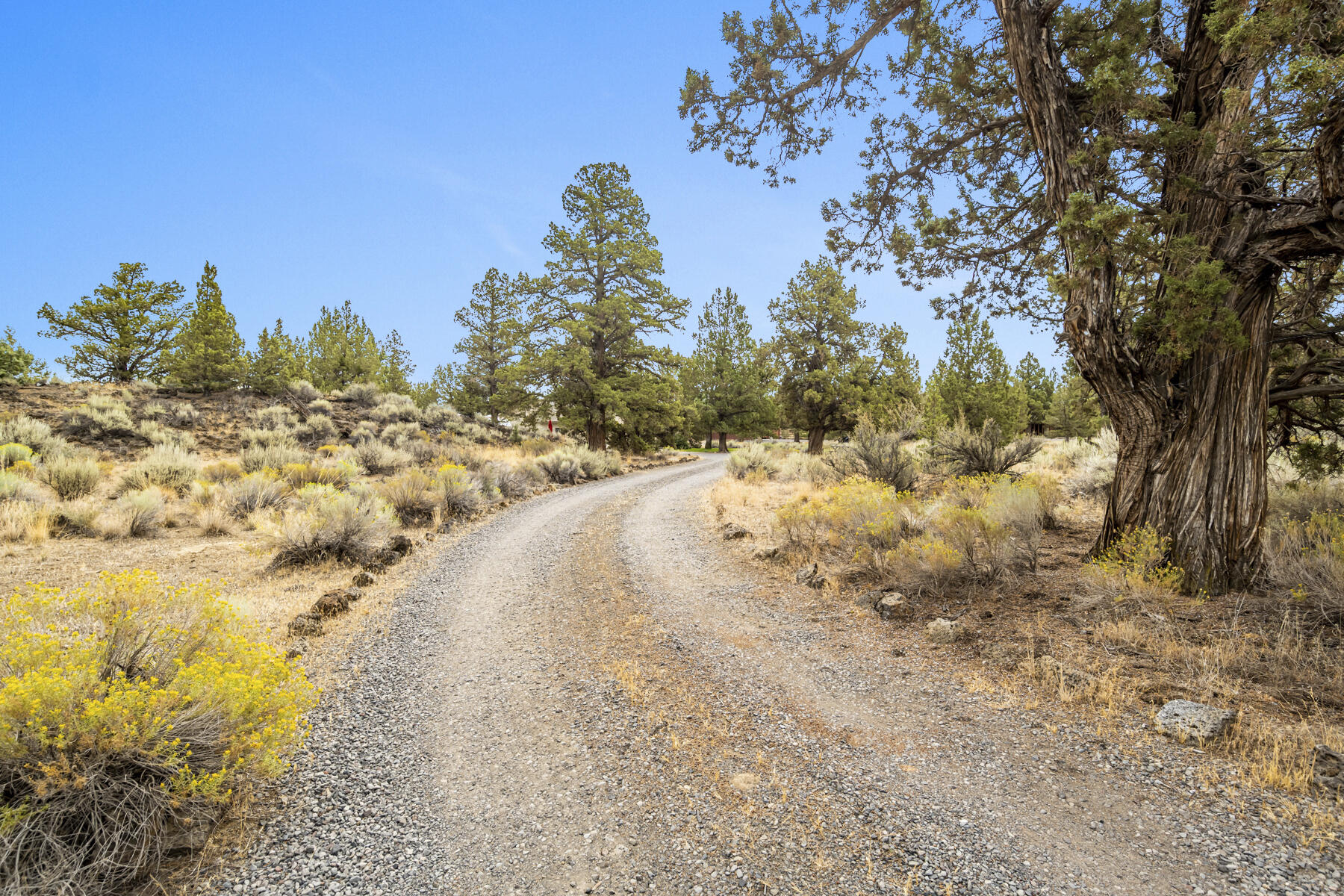 Boonesborough - Residential