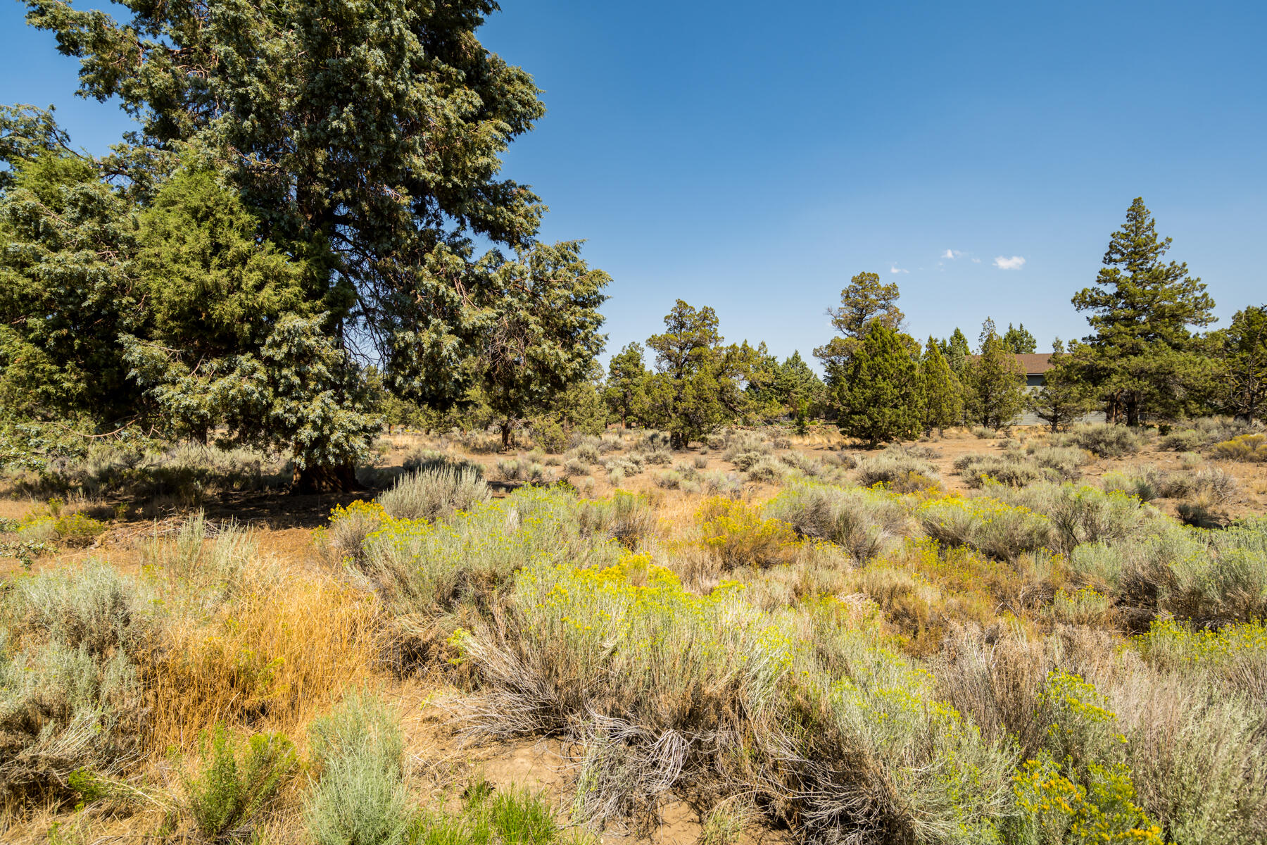 Boonesborough - Residential