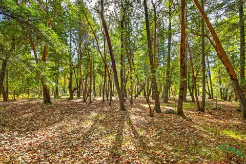 Tiny photo for 17252 N Applegate Road, Grants Pass, OR 97527 (MLS # 220211691)