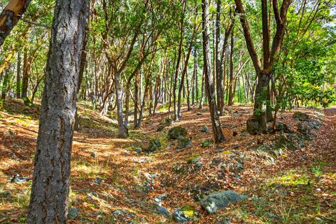 Tiny photo for 17252 N Applegate Road, Grants Pass, OR 97527 (MLS # 220211691)