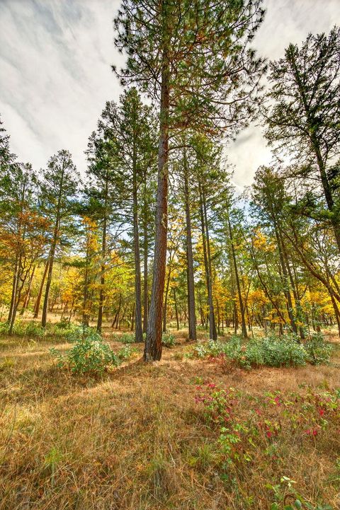 Tiny photo for 17252 N Applegate Road, Grants Pass, OR 97527 (MLS # 220211691)