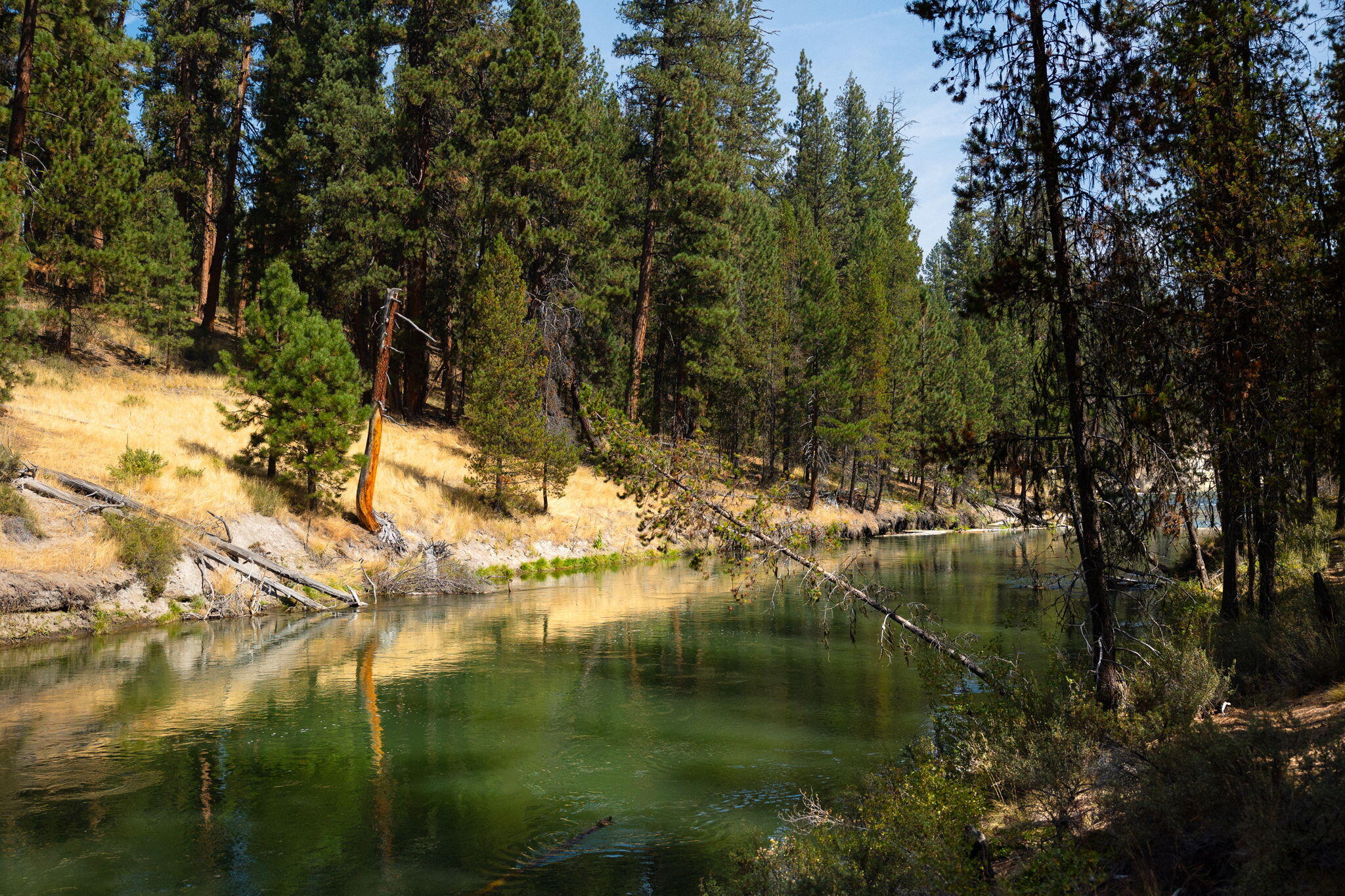 Wild River - Residential