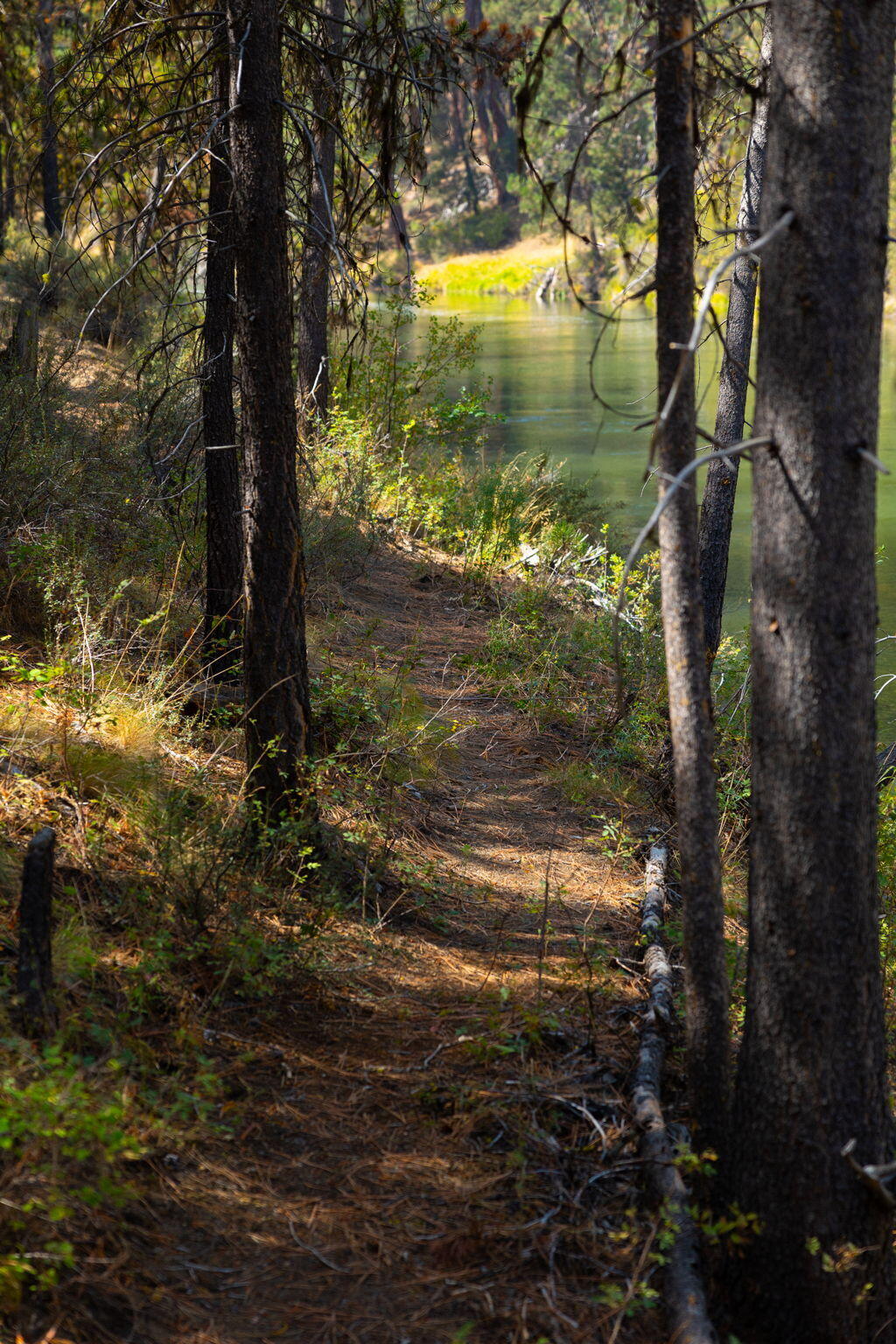 Wild River - Residential