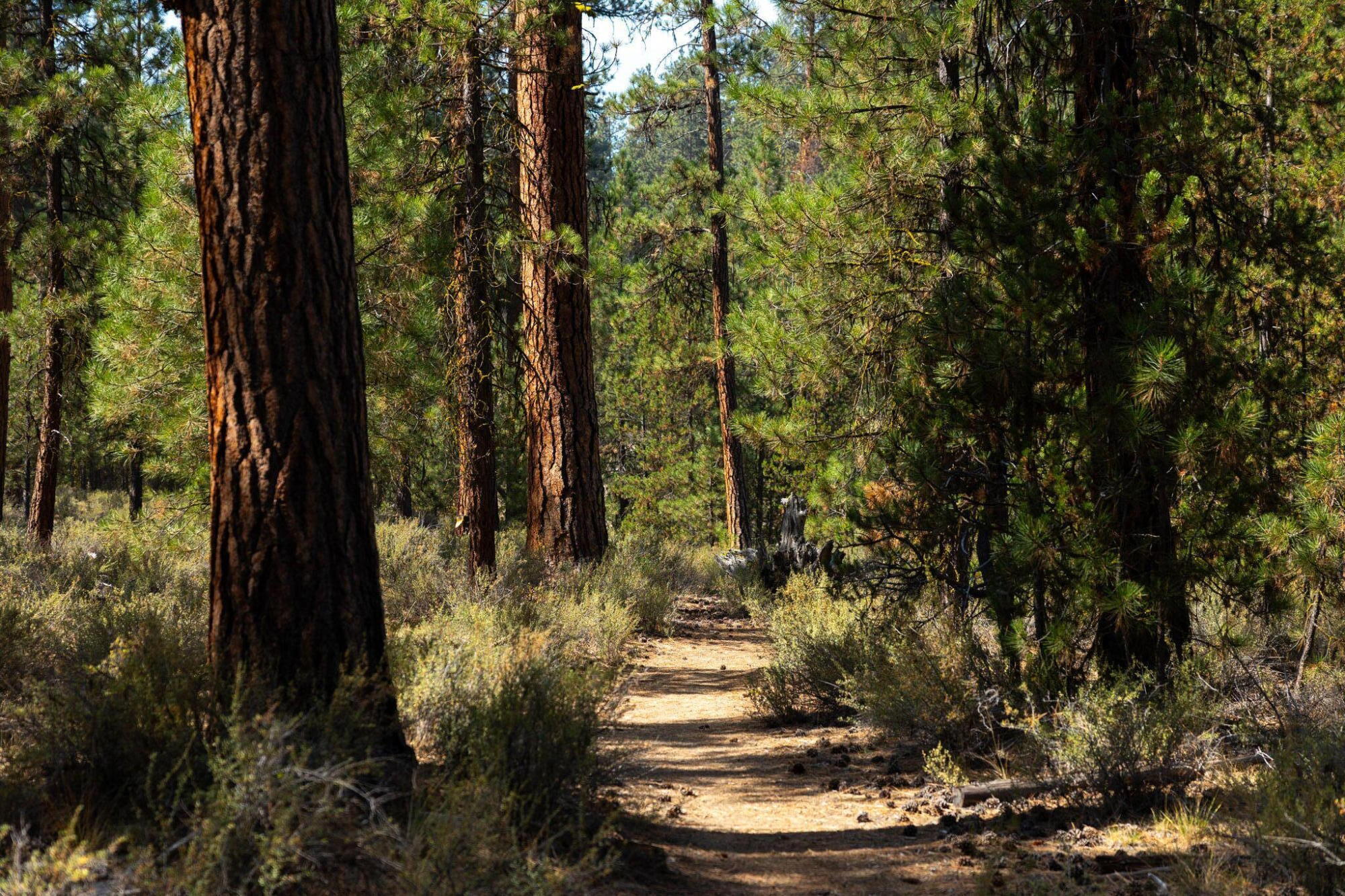 Wild River - Residential