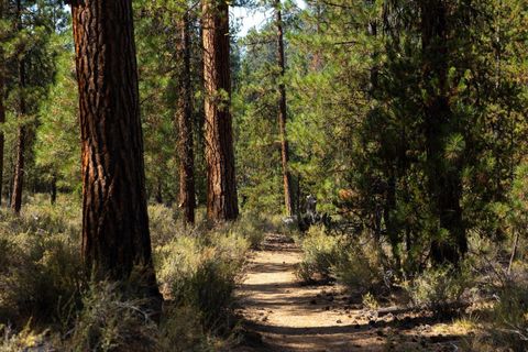 Tiny photo for 53596 Brookie Way, La Pine, OR 97739 (MLS # 220190135)