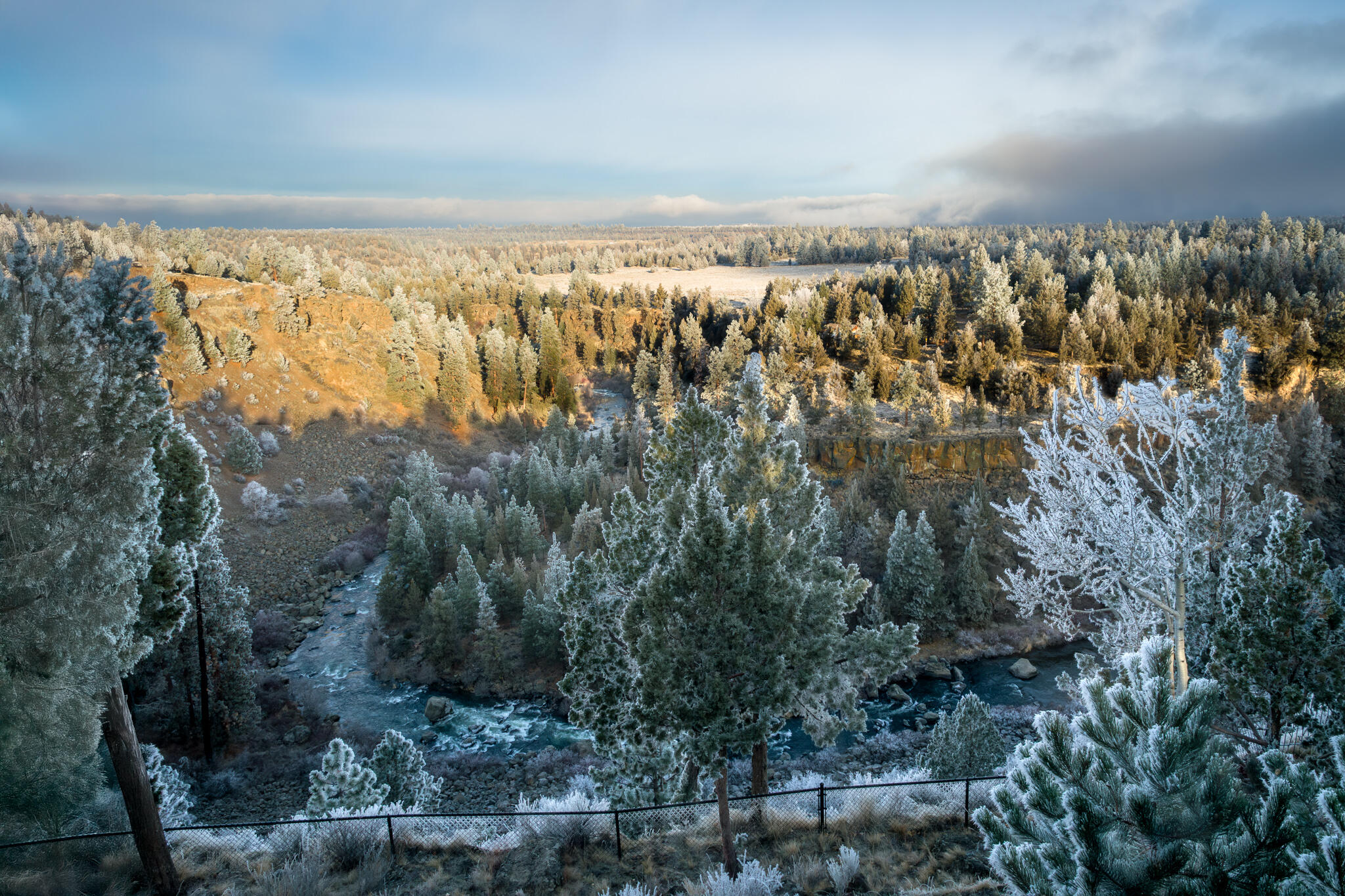 1122 NW Foxwood Place