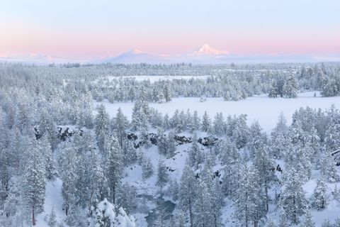 1122 NW Foxwood Place Bend OR 97703