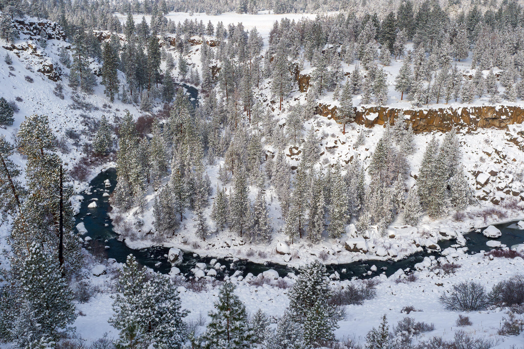 1122 NW Foxwood Place