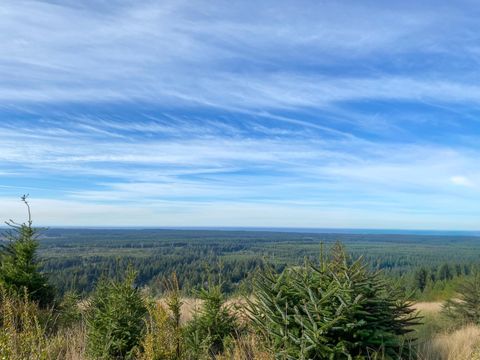 Tiny photo for 45721 U.S. 101, Langlois, OR 97450 (MLS # 220217330)