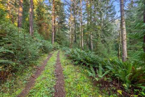 Tiny photo for 45721 U.S. 101, Langlois, OR 97450 (MLS # 220217330)