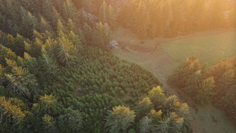 Photo of 45721 U.S. 101, Langlois, OR 97450 (MLS # 220217330)