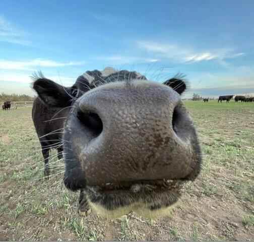 Deschutes River Ranc - Residential