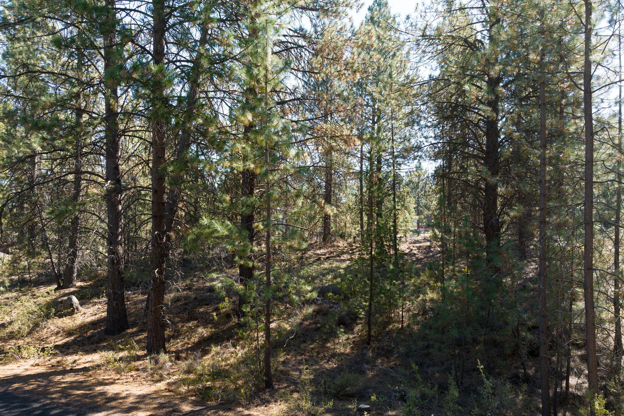 60648 River Bend Drive