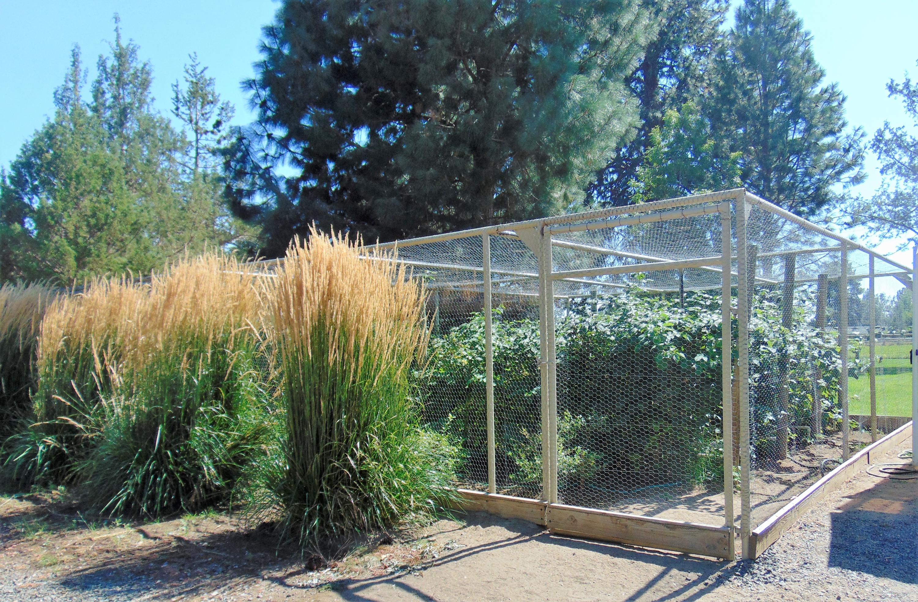 Horseshoe Acres - Residential