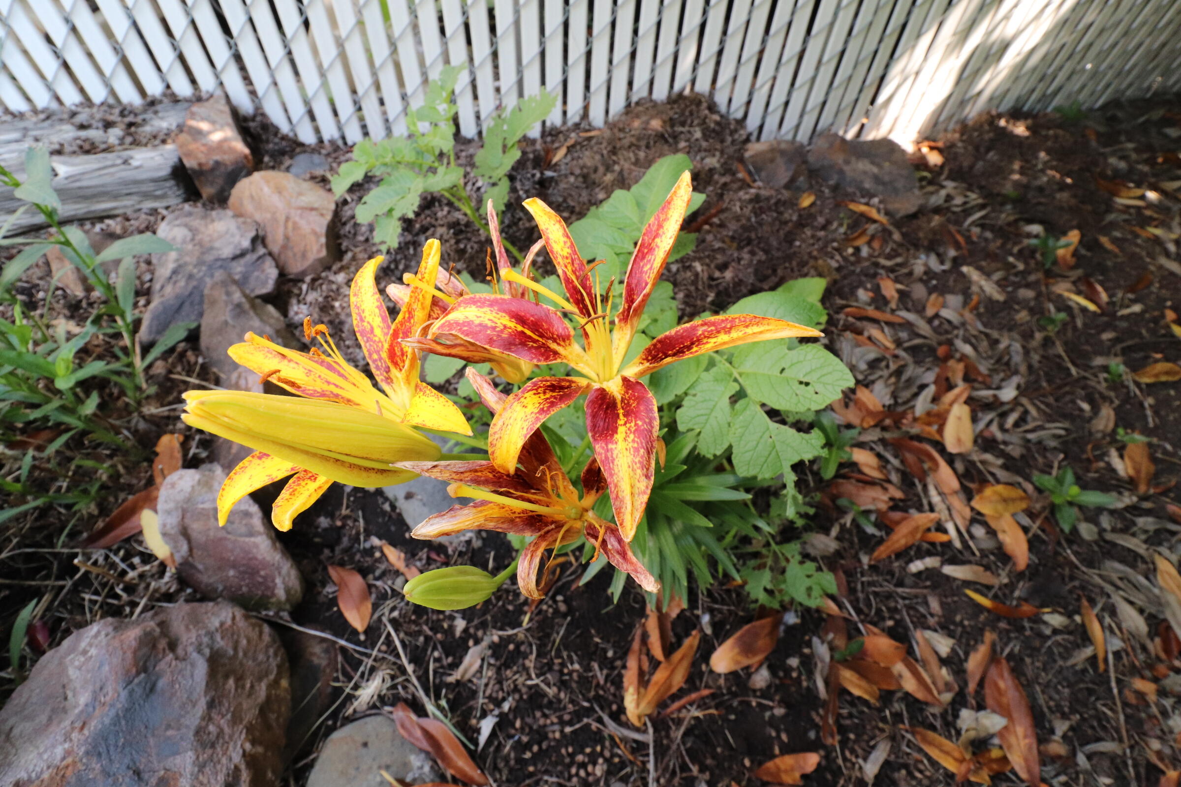 Butte Crest Subdivision - Residential