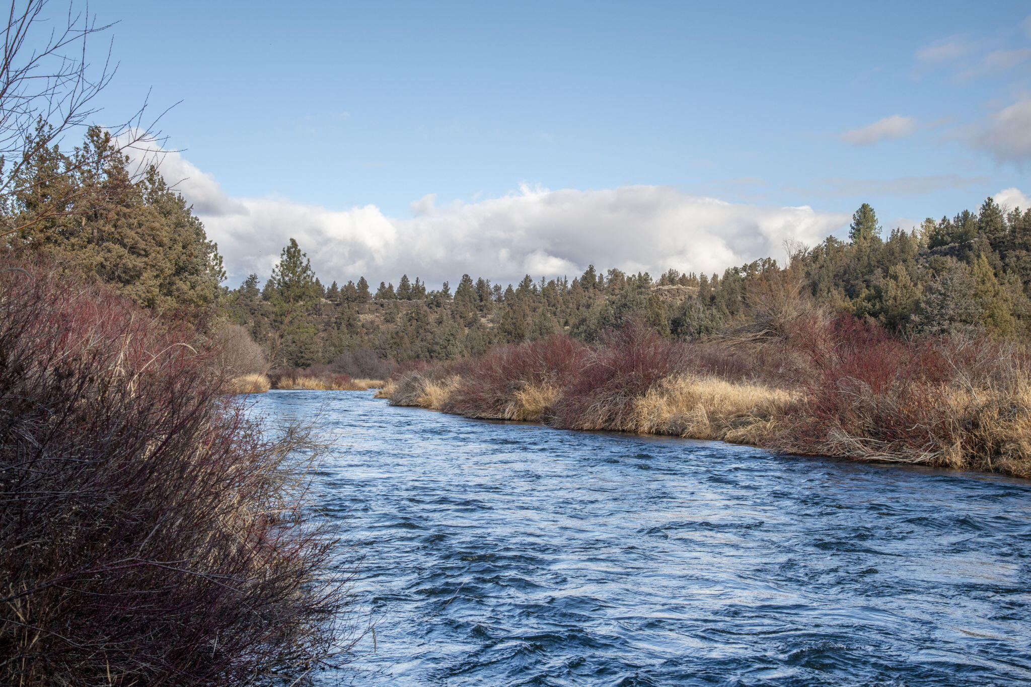 Deschutes River Trac - Residential